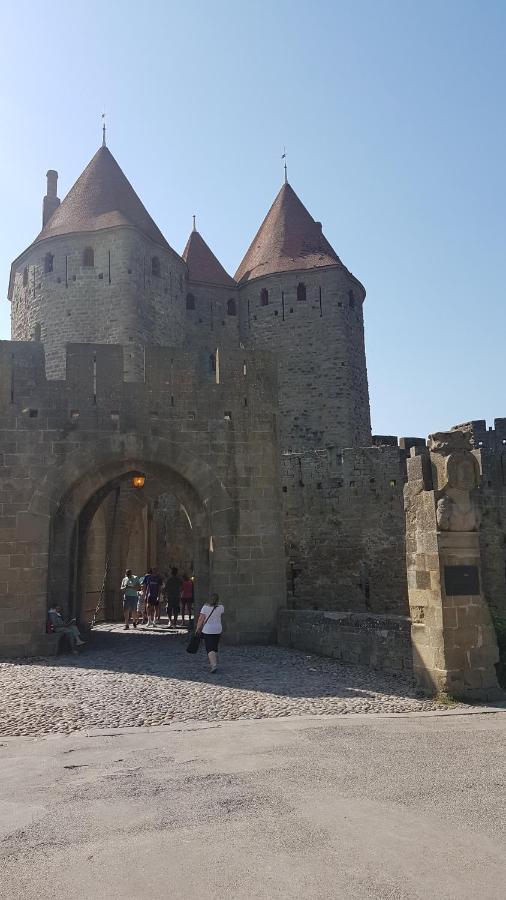 Maison Vue Cite 1 Villa Carcassonne Ngoại thất bức ảnh